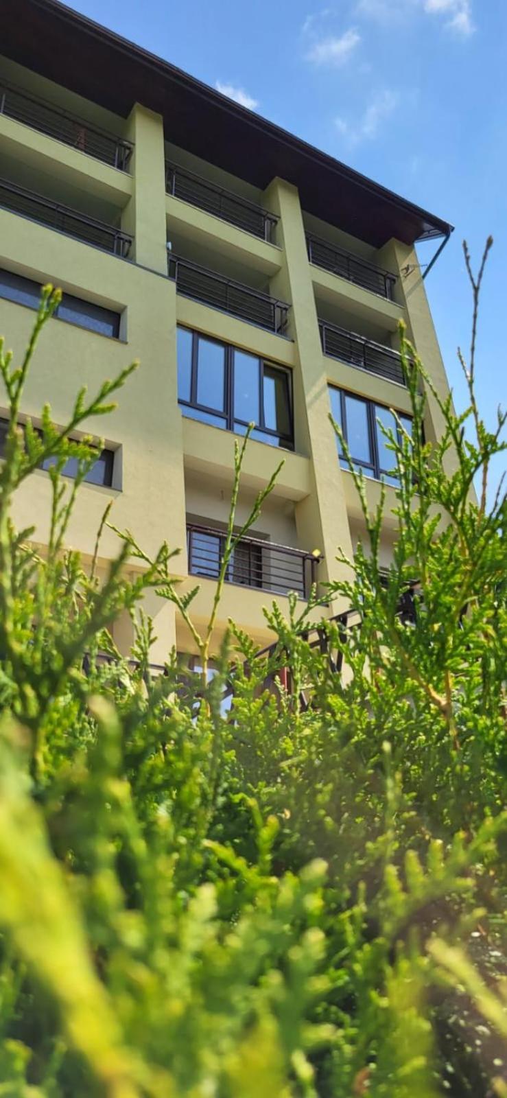 Pension Valea Mariei Rânca Kültér fotó